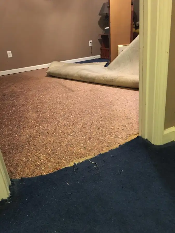 Carpet pad removal revealing water damage during Water Mitigation Services in South Lyon