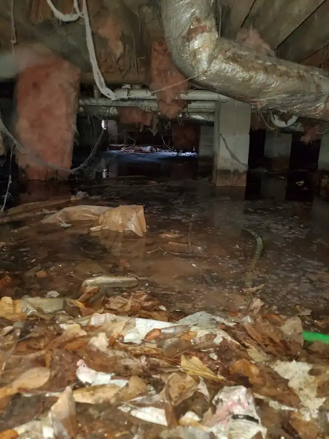Crawl space flood assessment for Leak Detection & Repair in South Lyon
