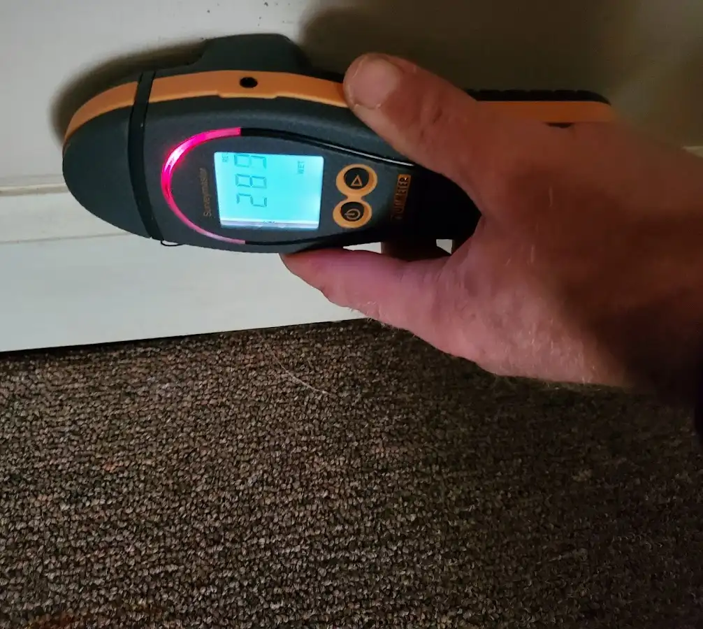 Moisture detection at baseboard during Sewage Cleanup & Sanitation in South Lyon